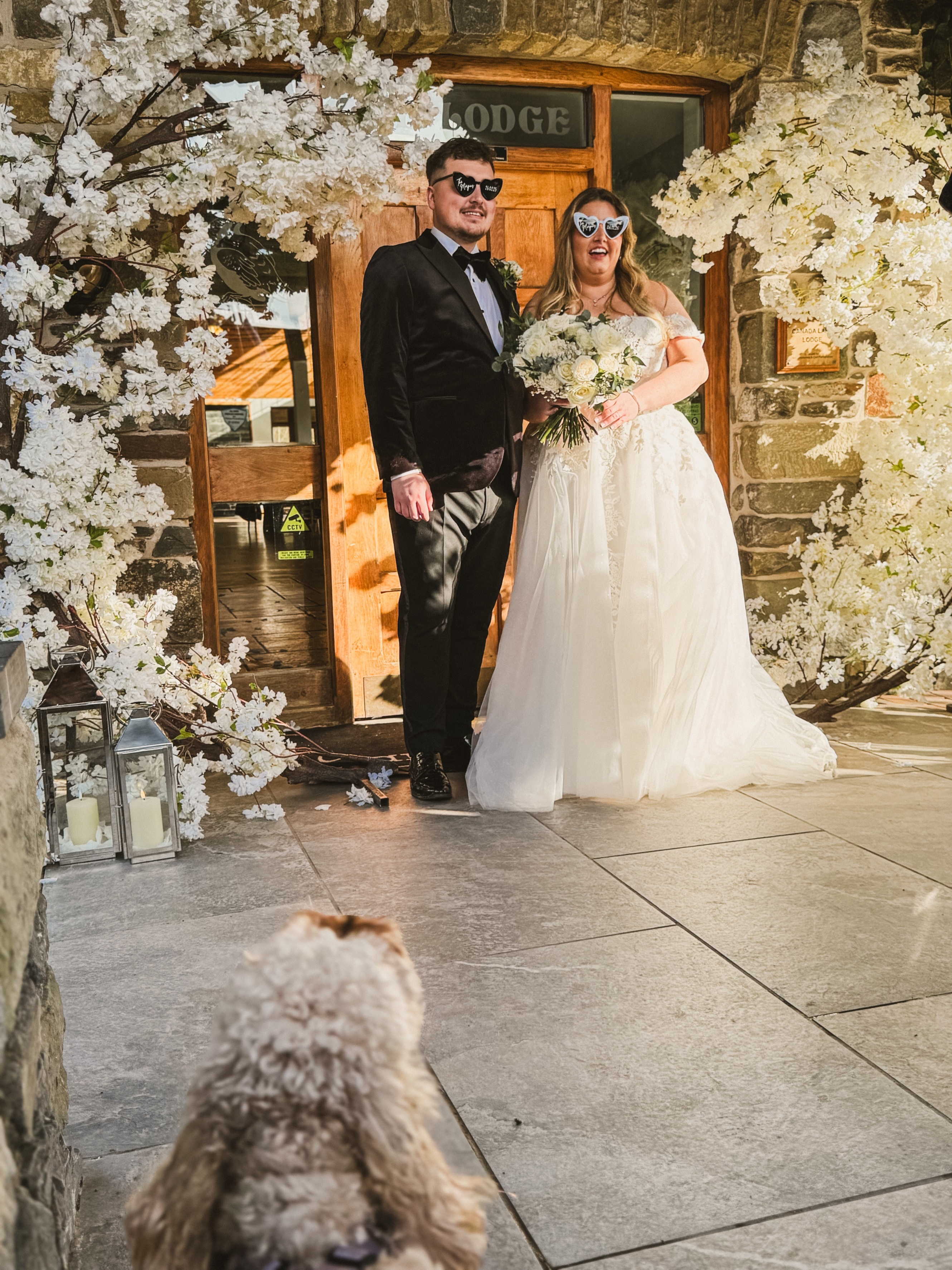 Nala the cavapoo with the bridge and groom